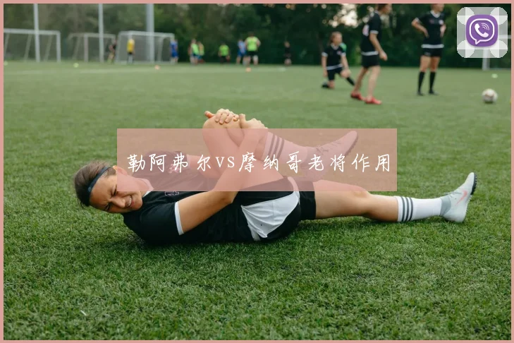 勒阿弗尔vs摩纳哥老将作用